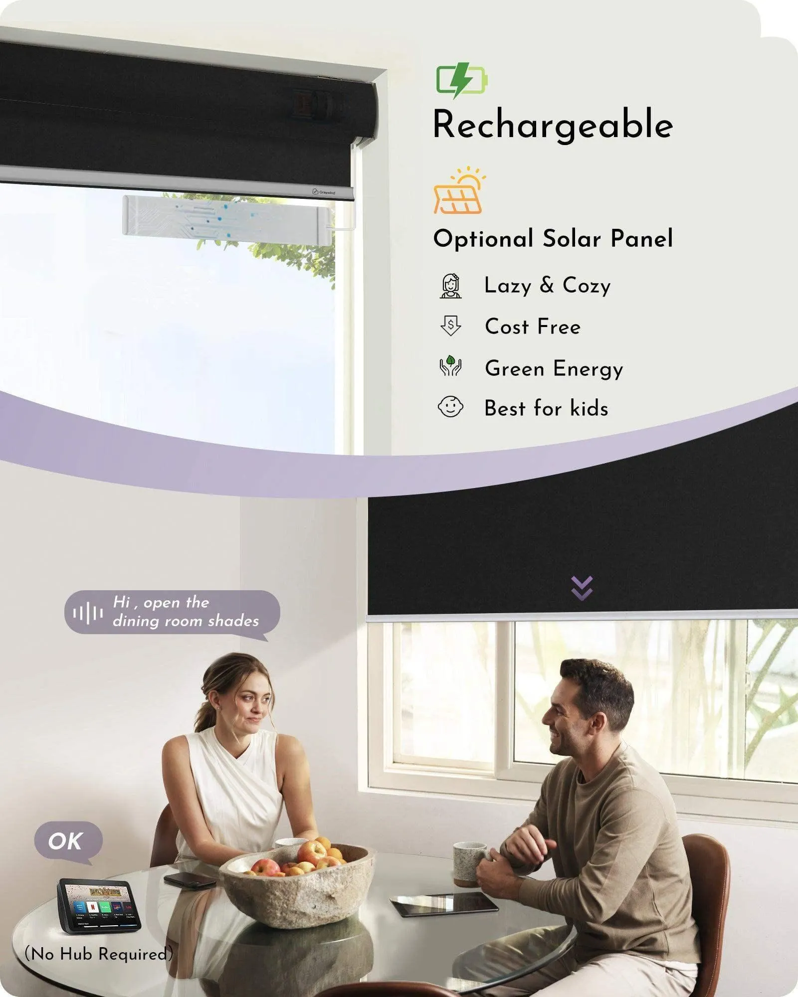Graywind Motorized Blackout Roller Shades & Matter Motor & Solar Panel | Customizable