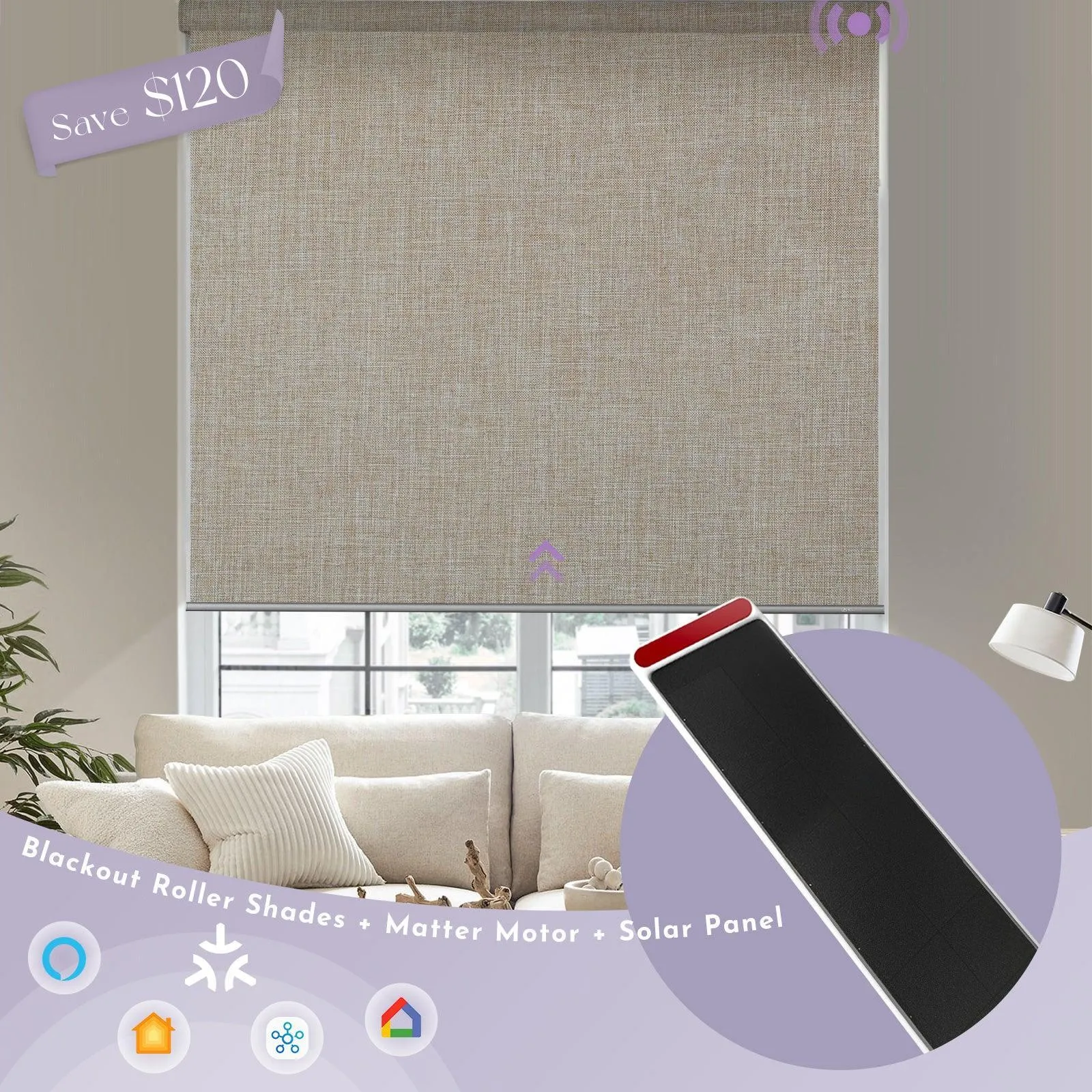 Graywind Motorized Blackout Roller Shades & Matter Motor & Solar Panel | Customizable