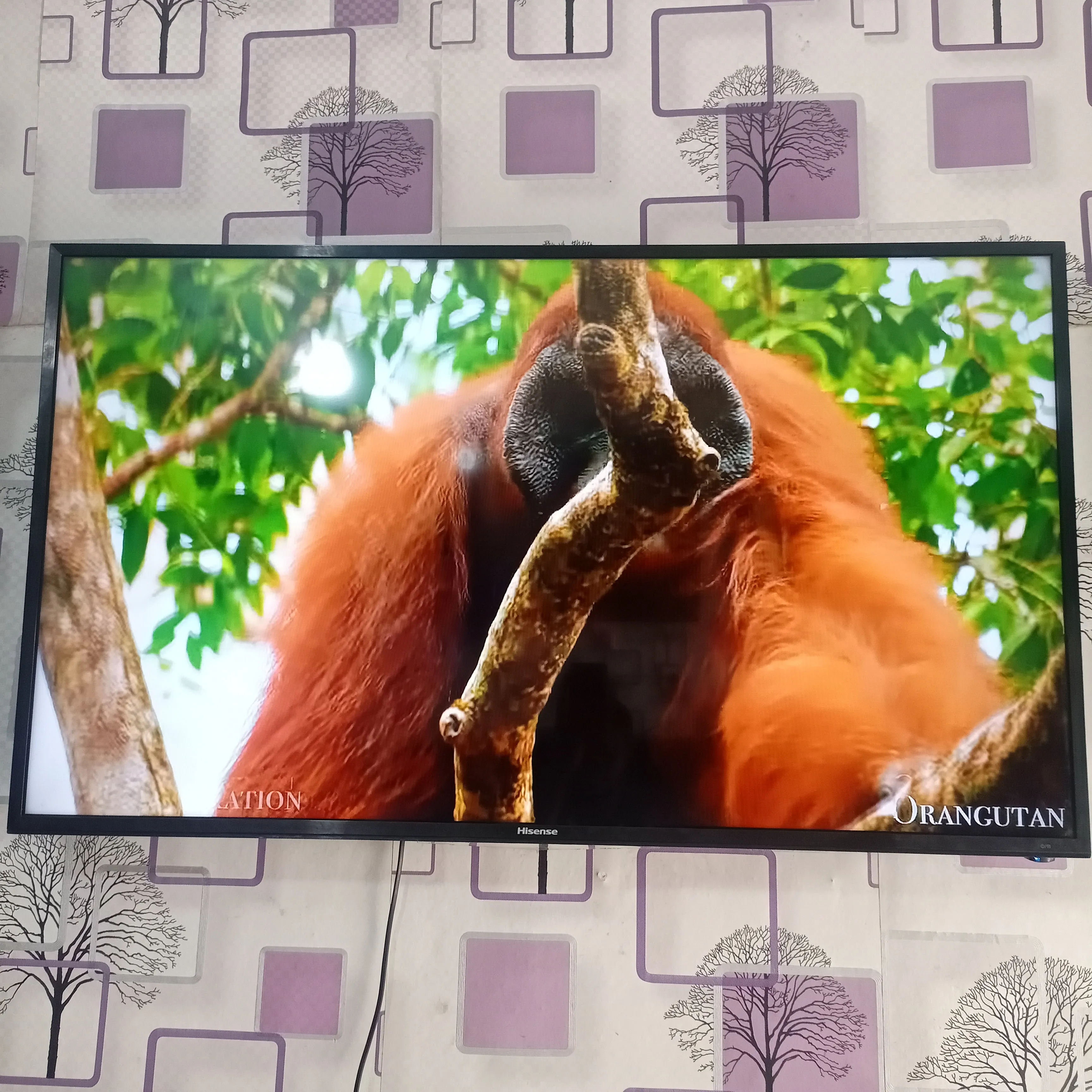 Hisense 49 inch VIDAA Smart 4K UHD LED TV (Built-in WiFi, Miracast) - Foreign Used