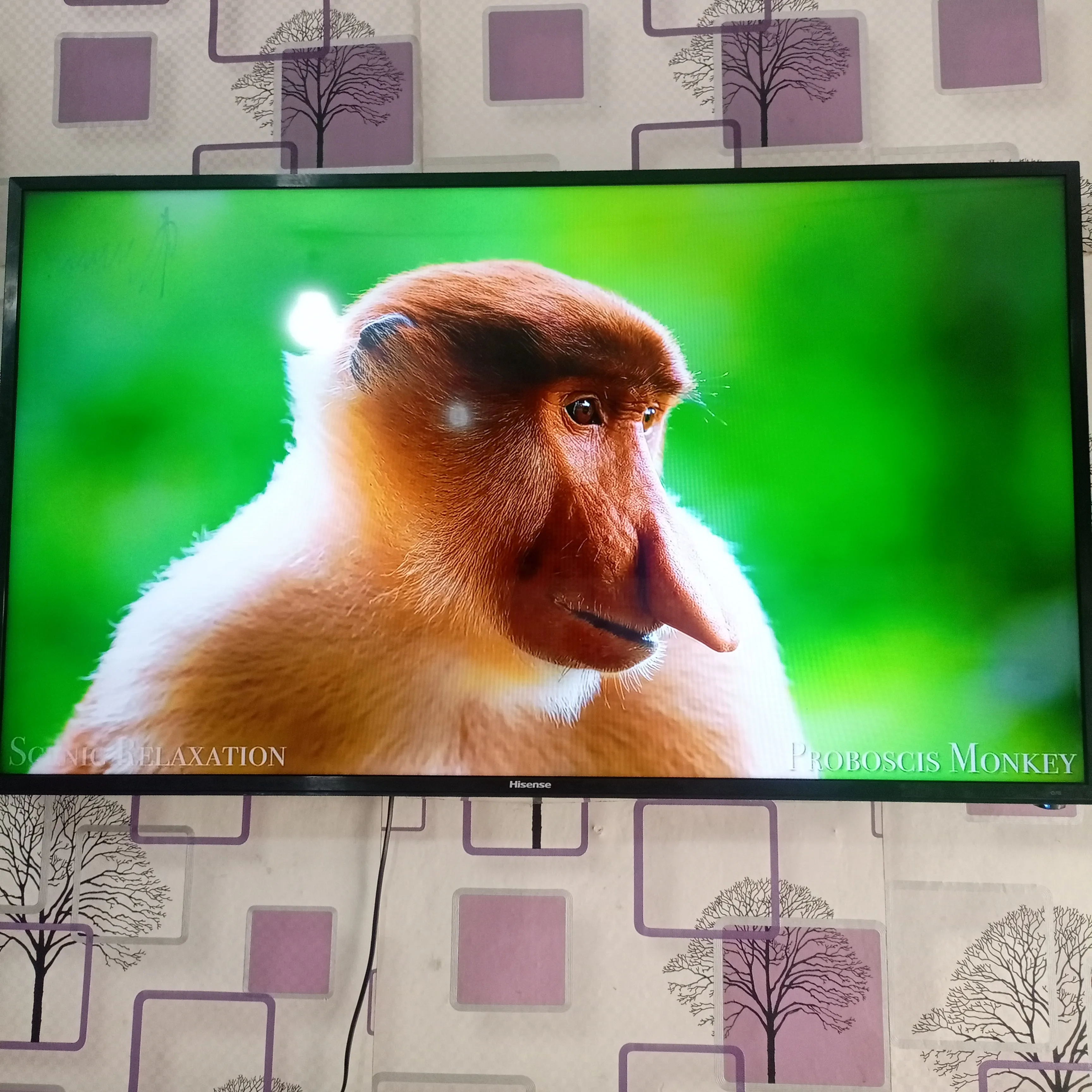 Hisense 49 inch VIDAA Smart 4K UHD LED TV (Built-in WiFi, Miracast) - Foreign Used
