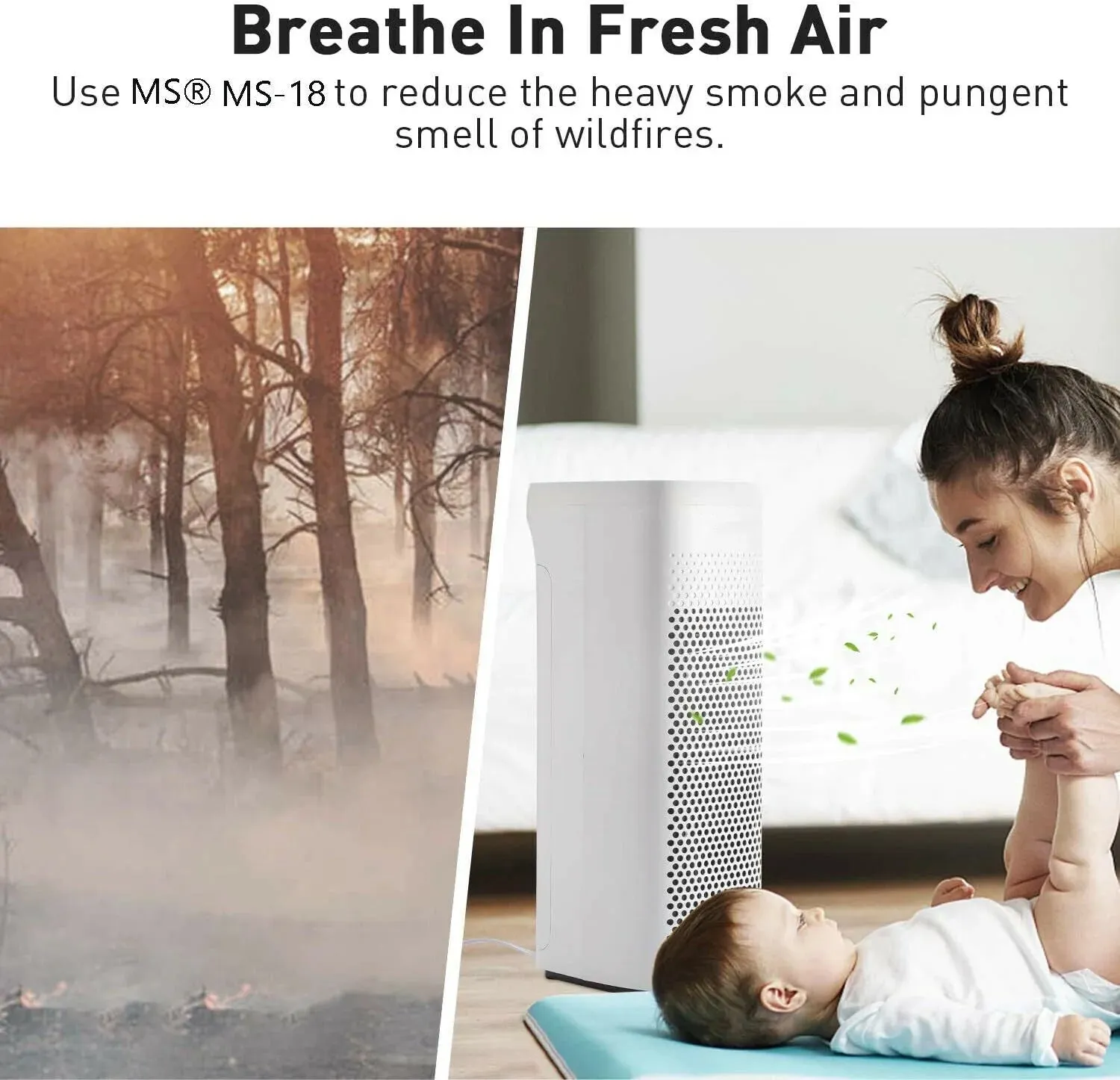 MS18 HEPA Air Purifier for Smoke Eater with Washable Pre-Filter