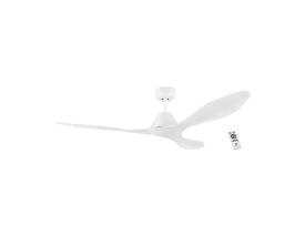 Nevis  ABS Indoor/Outdoor Ceiling Fan With Remote Control
