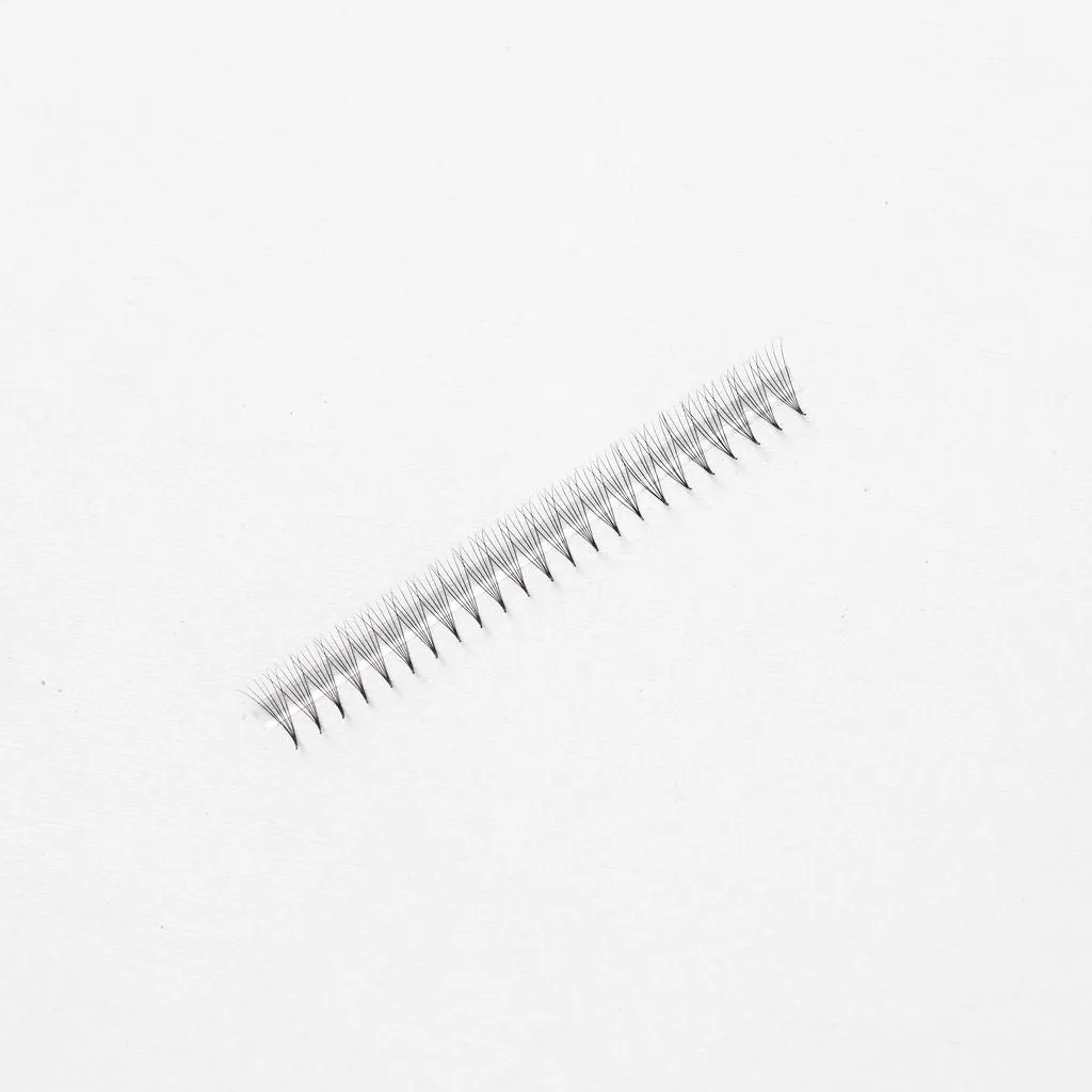 Premade 6D Lash Fans