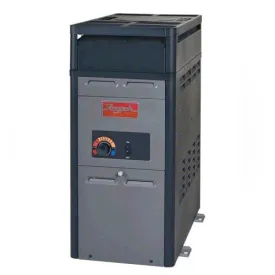 Raypak 105,000 BTU Heater 014781 - Propane