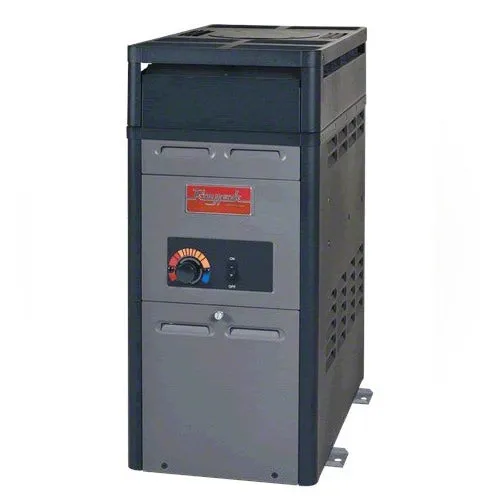 Raypak 105,000 BTU Heater 014782 - Propane