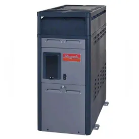 Raypak 150,000 BTU Heater 014786 - Propane