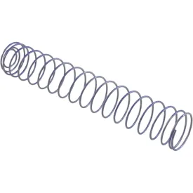 Raypak Bypass Spring 011602F