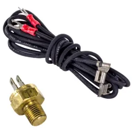 Raypak Digital High Limit 140 Degree - Black Epoxy 600893B
