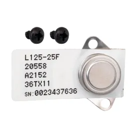 Raypak High Limit Kit 019044F