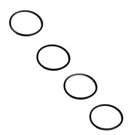 Raypak O-rings 006724F