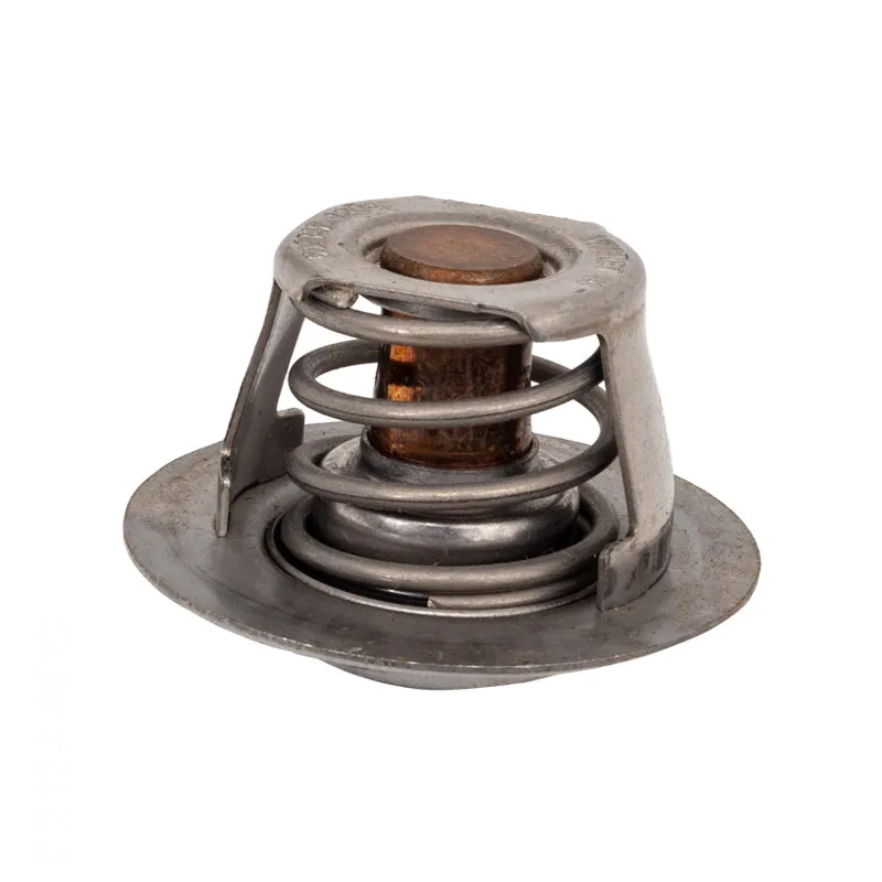 Raypak Unitherm Governor 019062F