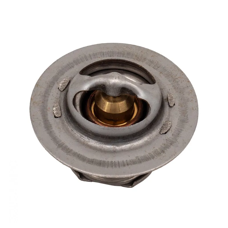 Raypak Unitherm Governor 019062F