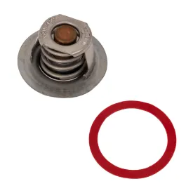 Raypak Unitherm Governor 019062F
