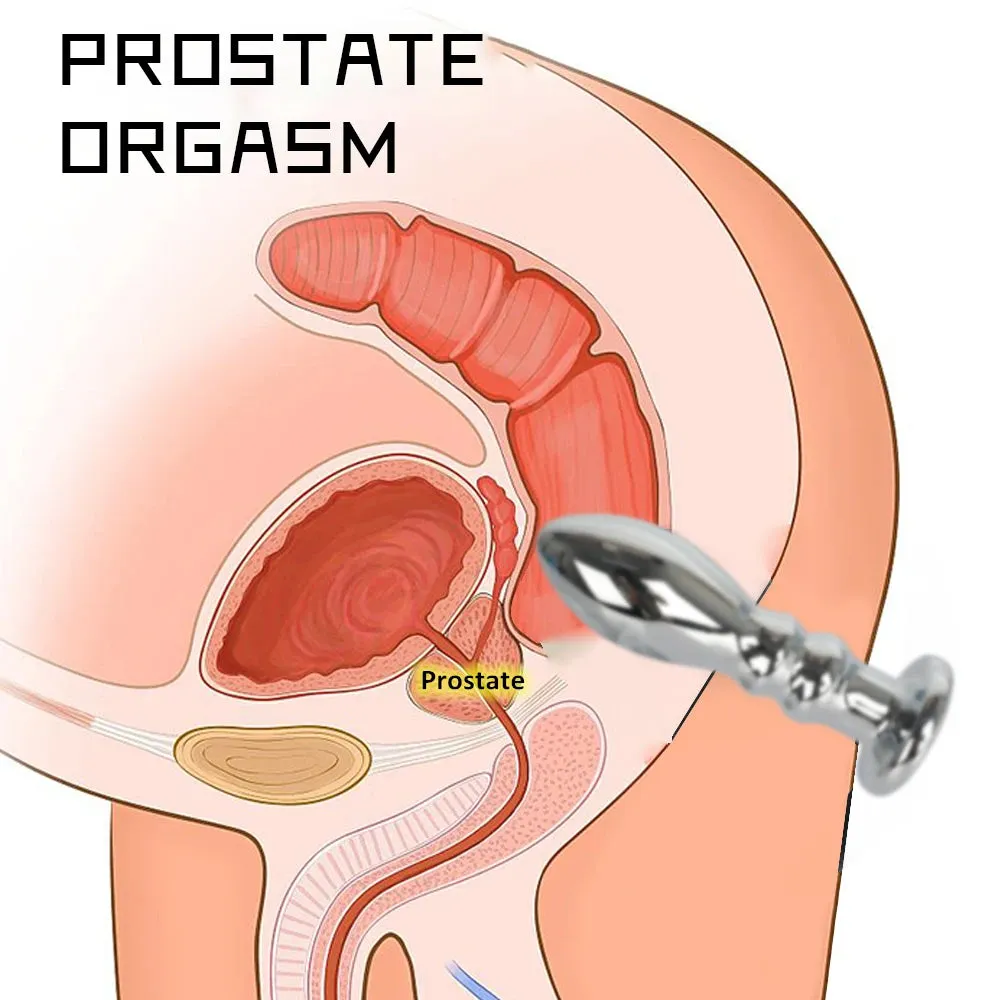 Vibrating Dildo Butt Plug - Metal Dildos G Spot Prostate Massage Anal Toys