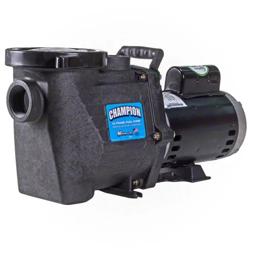 Waterway Champion 1 HP Pump - Energy Efficient