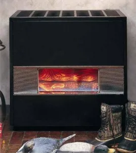 Williams Direct Vent Propane Hearth Heater (RH Series)