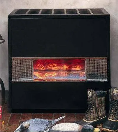Williams Direct Vent Propane Hearth Heater (RH Series)
